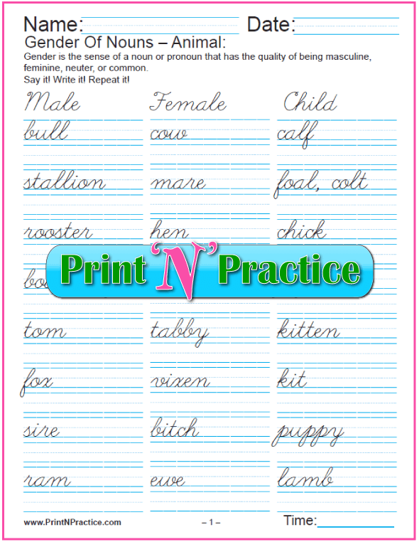 the-gender-of-nouns-spanish-worksheet-answers