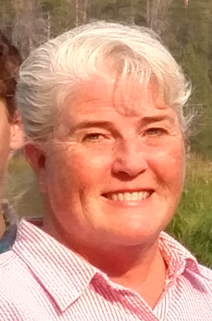 Site Build It Review Site Build It Review